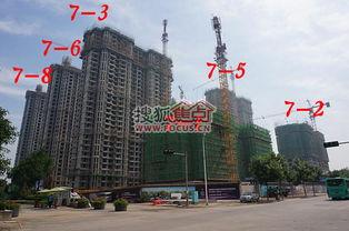 石家庄天苑爆料案件最新,揭秘背后惊人真相 第2张 石家庄天苑爆料案件最新,揭秘背后惊人真相 第2张