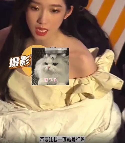 蔡西施被人爆料视频,揭秘背后真相与网络舆论的漩涡  第3张