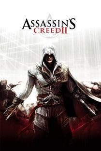 有刺客全集在线观看,揭秘暗影江湖的惊心动魄传奇  第2张